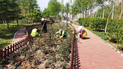 兰州市南北两山环境绿化工程指挥部 图片新闻 兰州树木园游园绿地管护项目开展日常管护工作